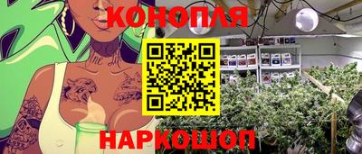 соль ск Краснодар