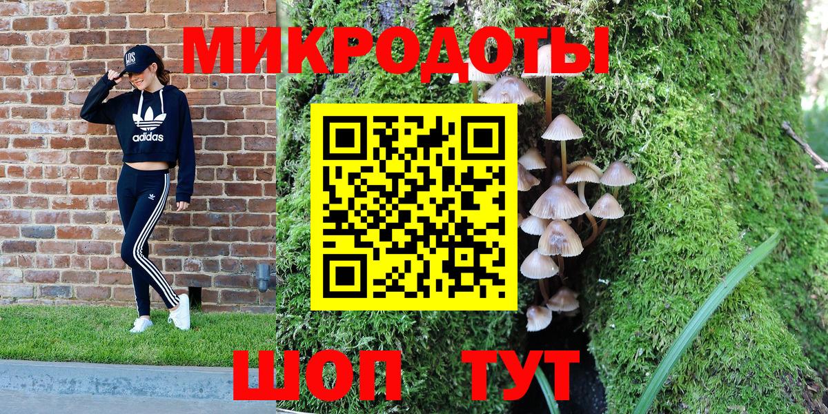 Псилоцибиновые грибы мицелий Ессентуки